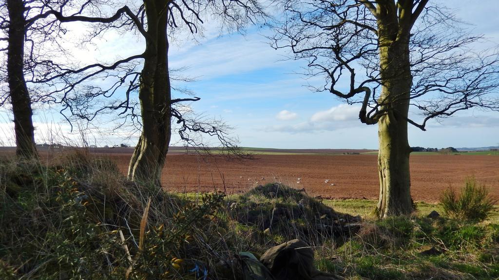 Scotland Paradise Relax By Shooting Club Kirriemuir Летний дом *