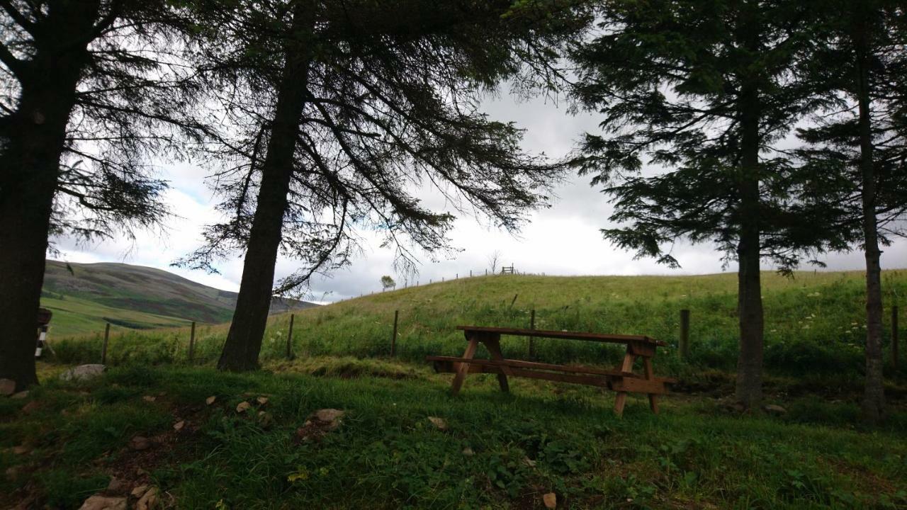 Летний дом Scotland Paradise Relax By Shooting Club Kirriemuir
